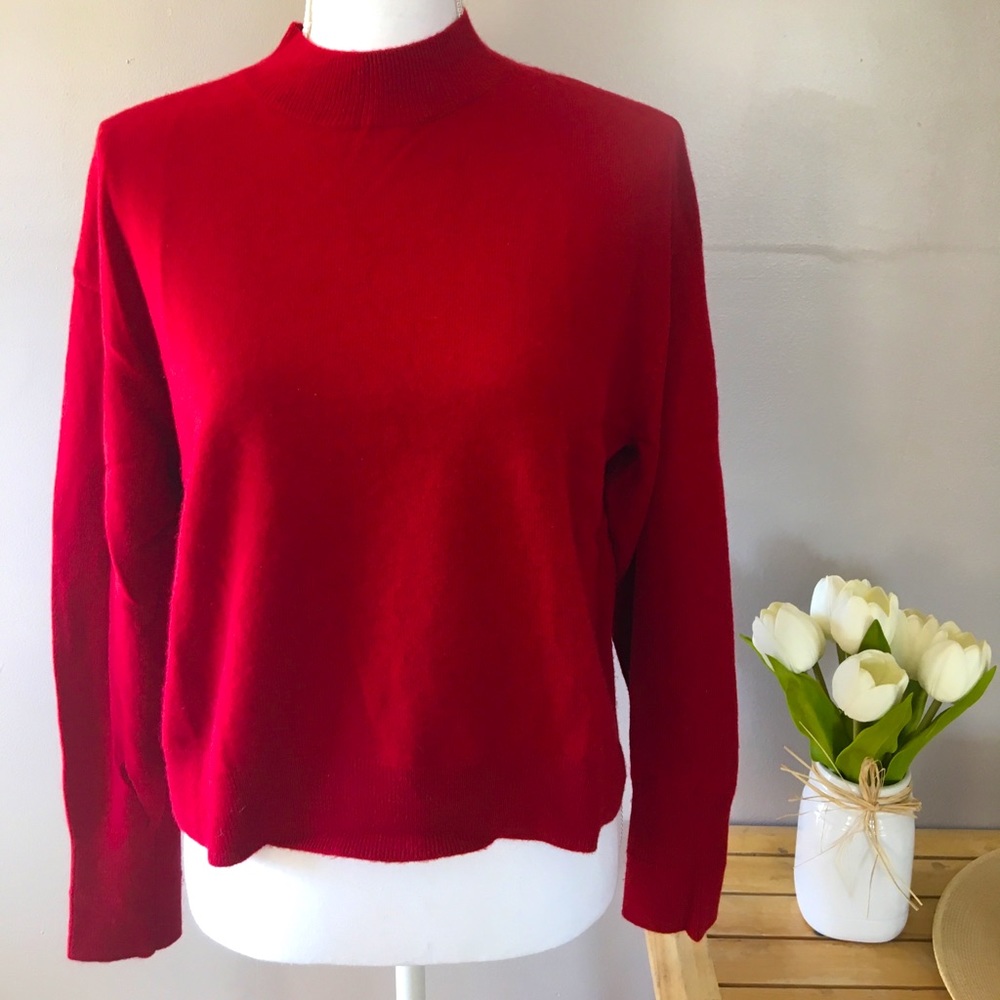 Everlane Cashmere Crop Mockneck Sweater